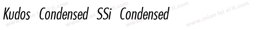 Kudos Condensed SSi Condensed Ital字体转换